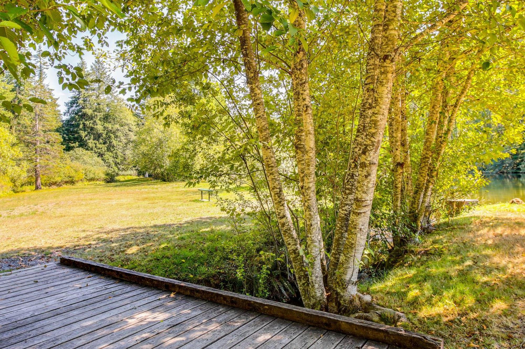 Quaint Ashford Studio Stay 5 Mi To Mt Rainier! Екстериор снимка